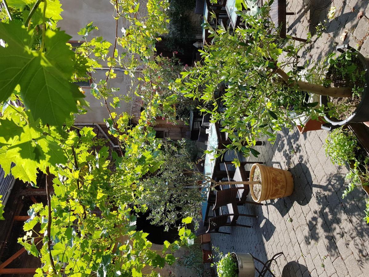 Hotel Restaurant Toscana Naumburg Наумбург Экстерьер фото